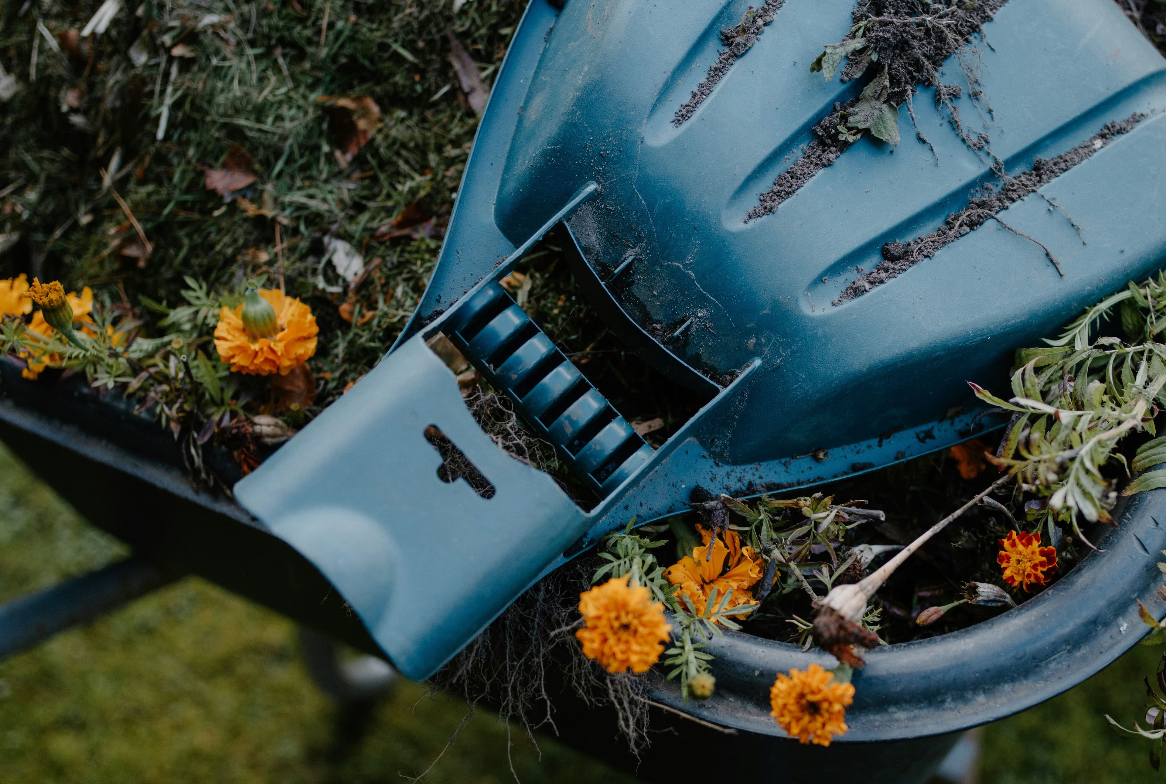 Garden cleanup and clearing