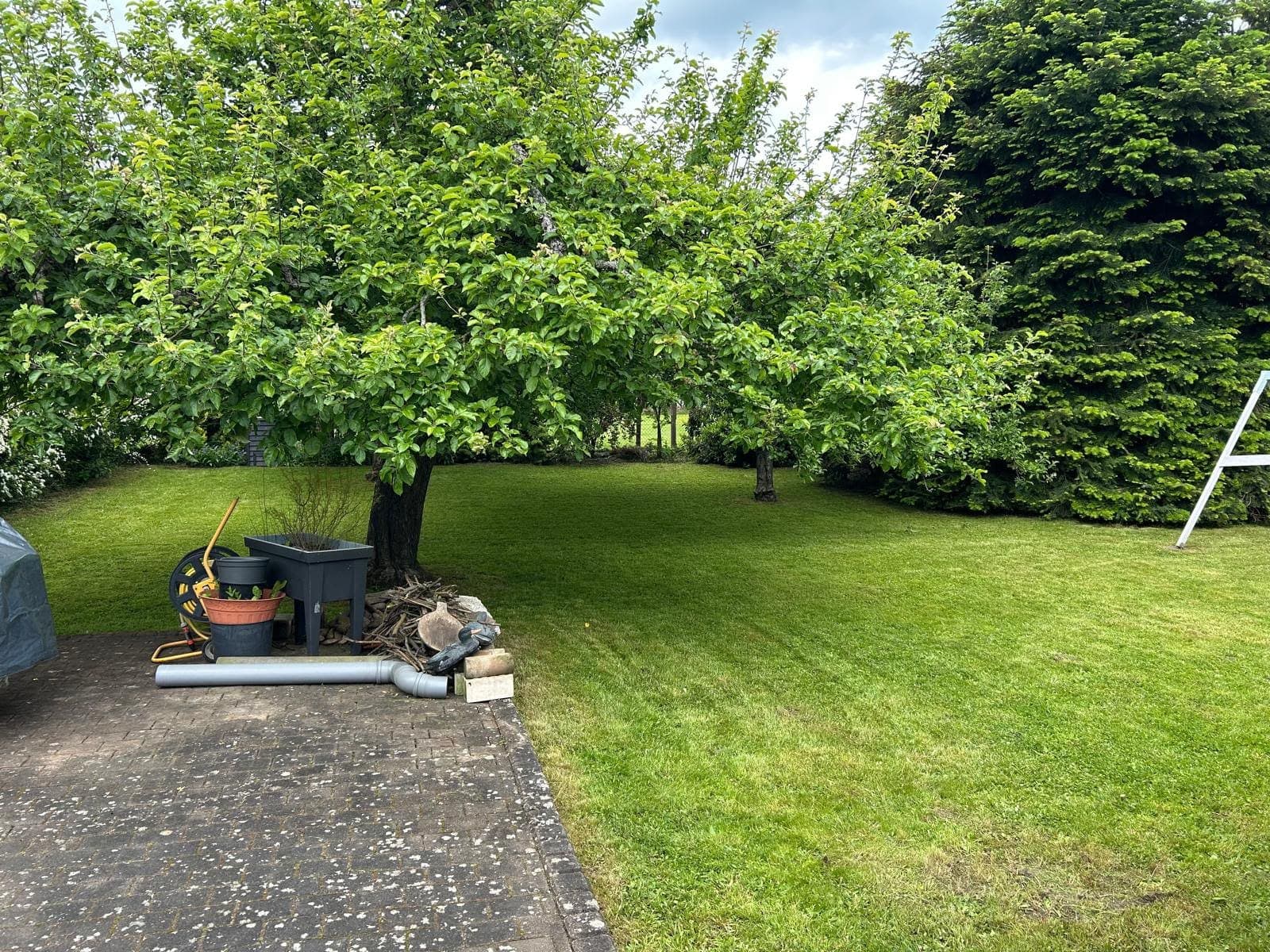 Gartenpflege in Wetzlar – gemähter Rasen unter Obstbäumen